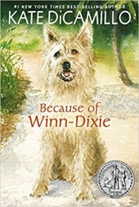 because of winn dixie